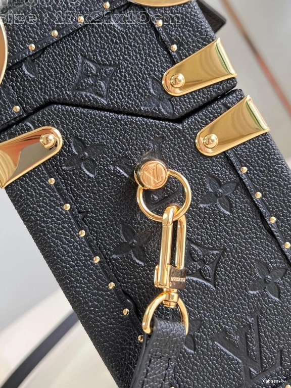 Box Camera LOUIS VUITTON Canvas Monogram 0321